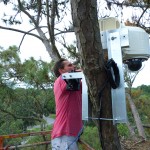 Tim in Tree with Camera