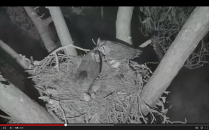 Screen Shot 2014-11-08 at 11.39.13 PM