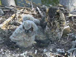 Screen Shot 2015-03-10 at 10.07.48 AM