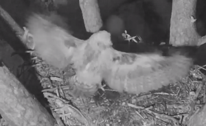 Screen Shot 2015-03-25 at 9.01.49 AM