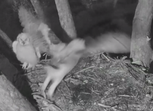 Screen Shot 2015-03-25 at 9.02.34 AM