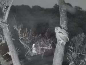 Screen Shot 2015-03-25 at 9.04.16 AM