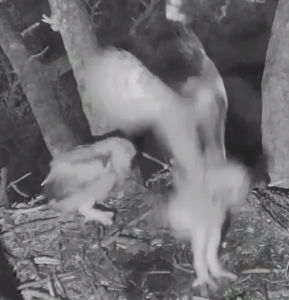 Screen Shot 2015-03-25 at 9.07.13 AM