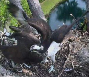 Screen Shot 2015-04-27 at 11.32.20 AM