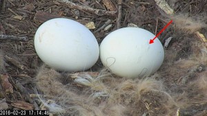 Cb7qsjzW8AE3MFk.jpg-large