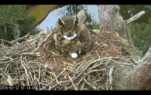 Screen Shot 2016-02-12 at 7.14.53 AM