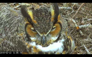 Screen Shot 2016-02-22 at 12.06.50 PM