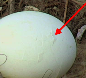 Screen Shot 2016-02-23 at 6.14.05 PM