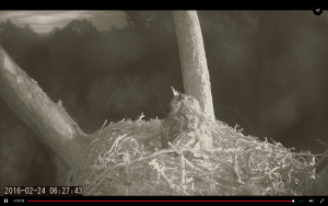 Screen Shot 2016-02-24 at 6.29.19 AM