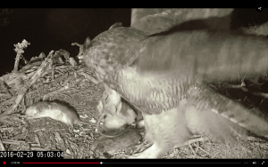 Screen Shot 2016-02-29 at 7.36.39 AM