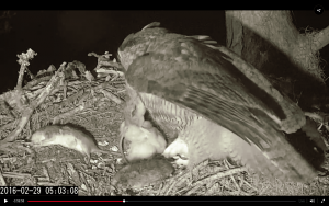 Screen Shot 2016-02-29 at 7.37.07 AM