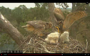 2016-03-18 at 1.33 PM Dad brings food 3