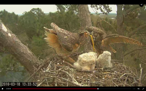 2016-03-18 at 1.33 PM Dad brings food 4