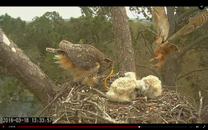 2016-03-18 at 1.33 PM Dad brings food 5