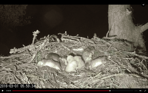 Screen Shot 2016-03-01 at 6.48.53 AM