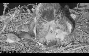 Screenshot_2016-03-02-06-30-20