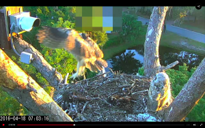 Screen Shot 2016-04-18 at 9.41.43 AM