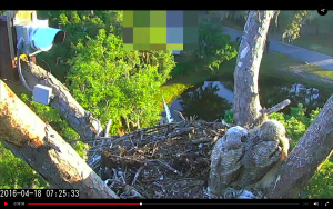 Screen Shot 2016-04-18 at 9.45.52 AM